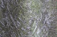 Lothersdale fibreglass roof work